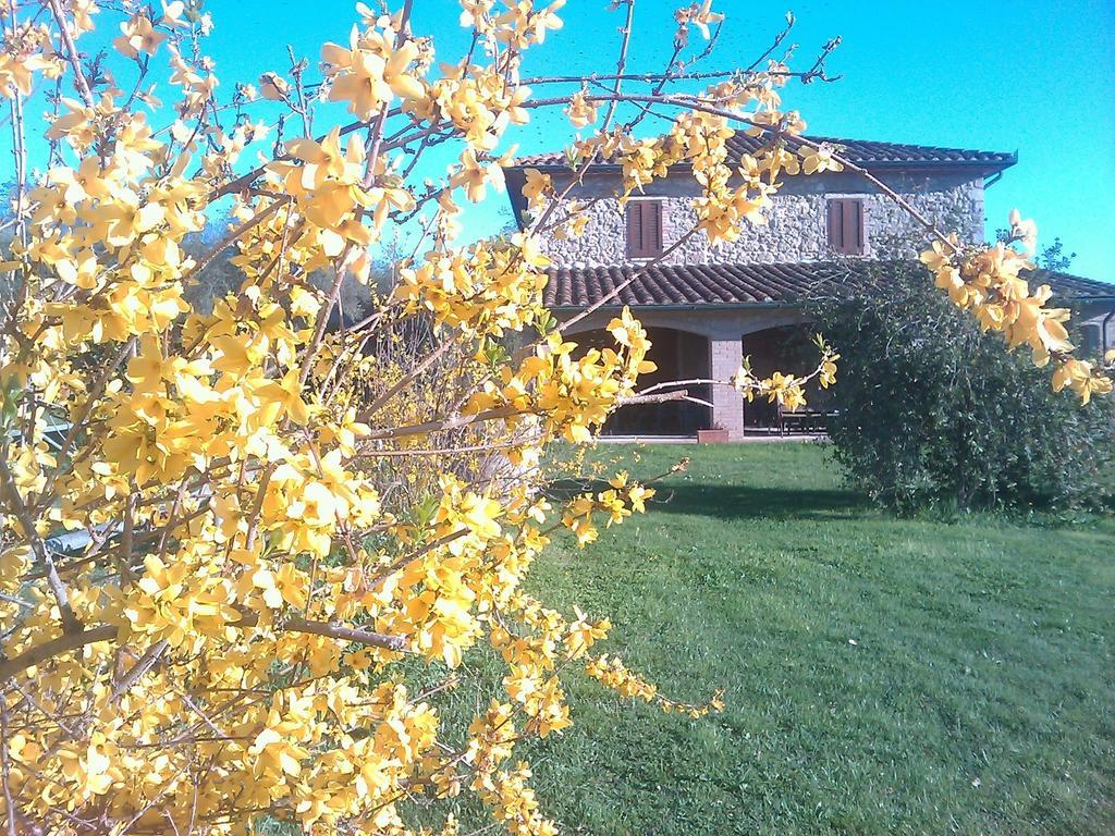 Agriturismo Il Poggiolo Montemerano Kültér fotó